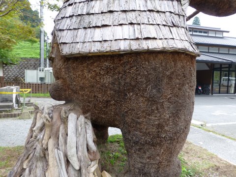 九州探検の旅