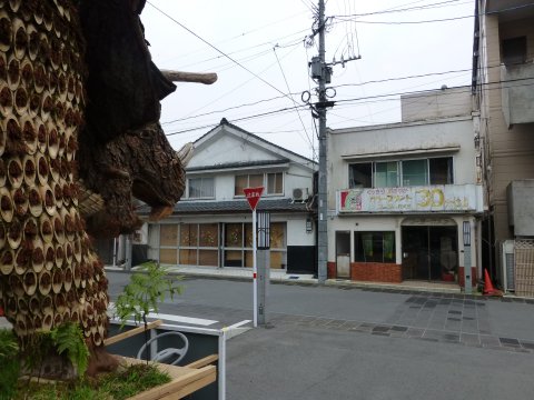 九州探検の旅