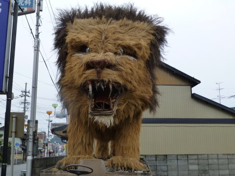 九州探検の旅