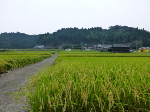 九州探検の旅
