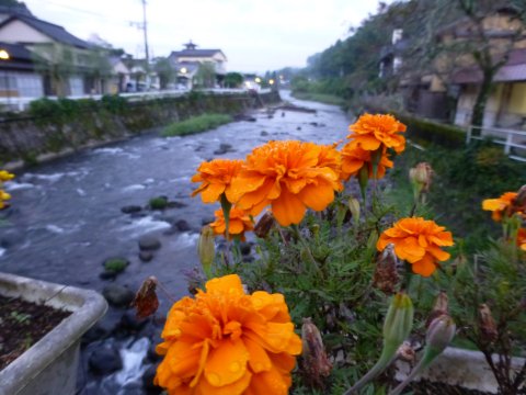 なんか変じゃないかぃ(・______・)