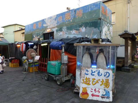 山鹿灯籠まつり 2012年