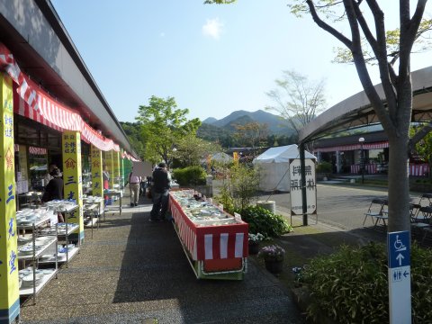 GW九州でトーシーさん迎撃♪