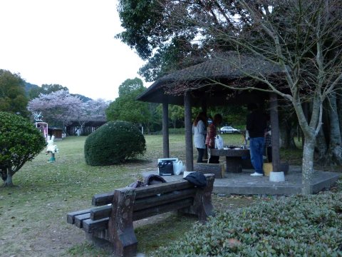 恒例 お花見