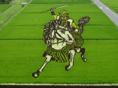 田んぼアート