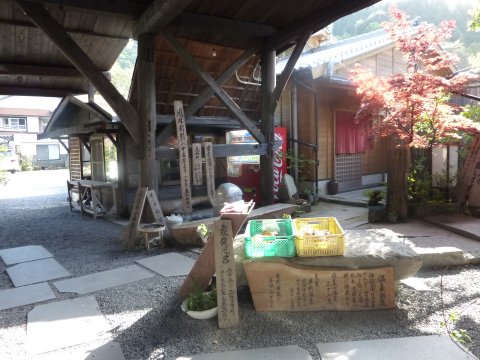 GW九州でトーシーさん迎撃♪