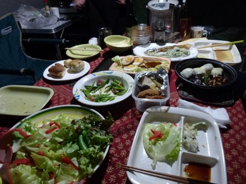 四国の旅(11亀)(11日目)