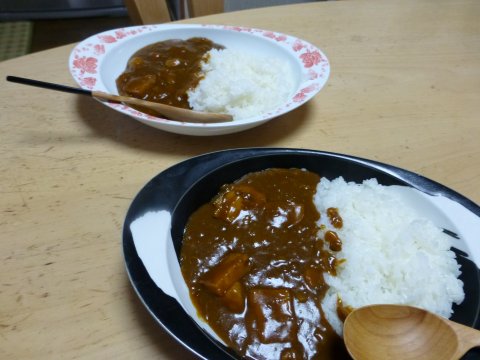 カレーとは(=^・・^=)