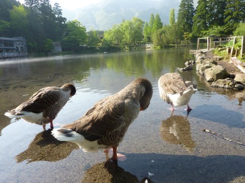 2010GW5月3日旅