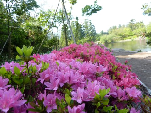 2010GW5月3日旅
