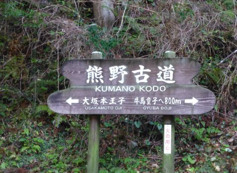 和歌山県は温泉と神社天国