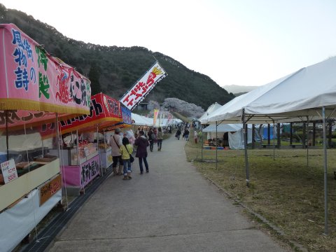 満開の桜見を口実に飲み♪