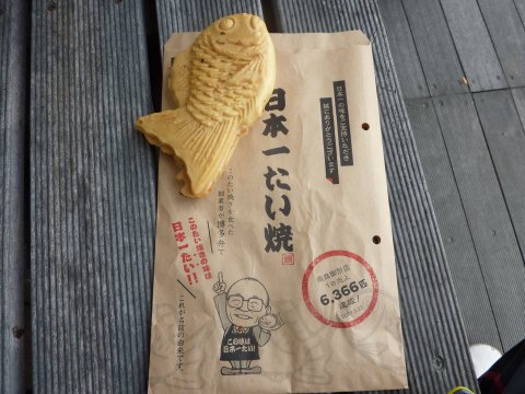 ホタル?を観賞に行ってきました。