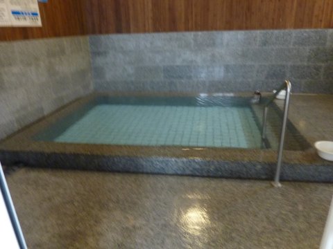 ホタル?を観賞に行ってきました。