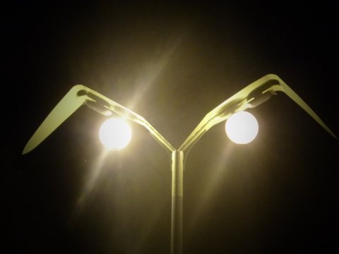 ホタル?を観賞に行ってきました。