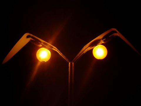 ホタル?を観賞に行ってきました。