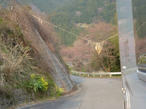 四国の旅(4亀)(4日目)