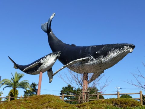 和歌山県は世界遺産だらけ