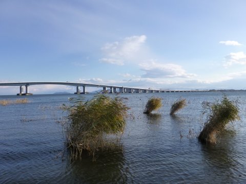 琵琶湖を徒歩で一周