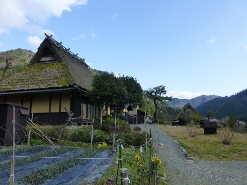 美山 かやぶきの里