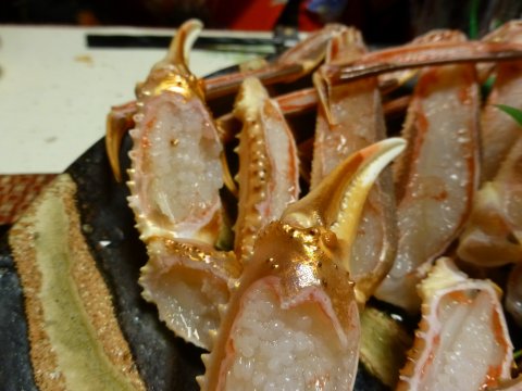 丹後半島 間人カニ食べちゃう象ぉ~ツアー