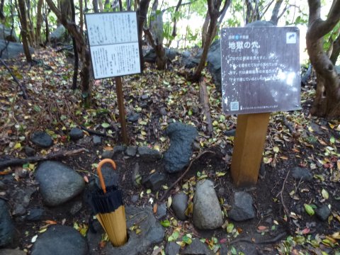 四国の旅(12亀)(12日目)