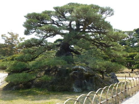 四国の旅(4亀)(4日目)