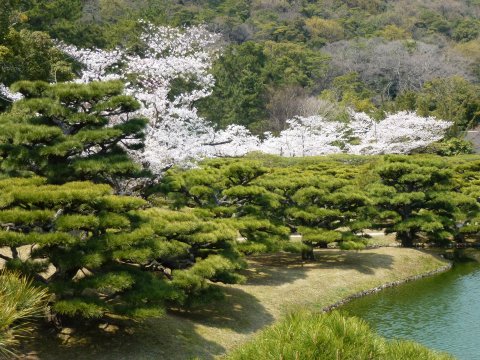 四国の旅(4亀)(4日目)