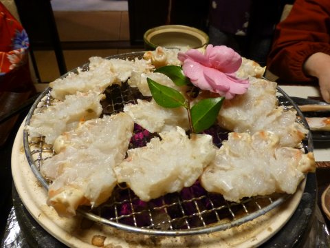 丹後半島 間人カニ食べちゃう象ぉ~ツアー