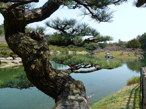 四国の旅(4亀)(4日目)