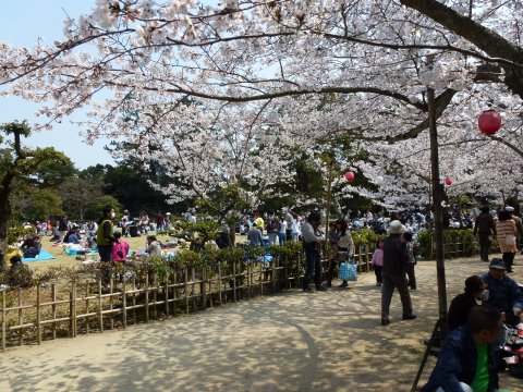 四国の旅(4亀)(4日目)