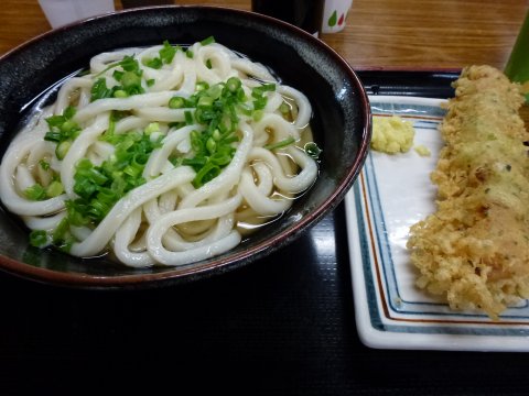 四国の旅(4亀)(4日目)