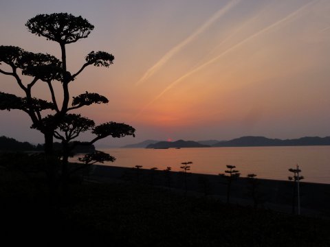 四国の旅(4亀)(4日目)