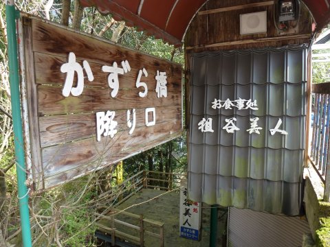 四国の旅(5亀)(5日目)