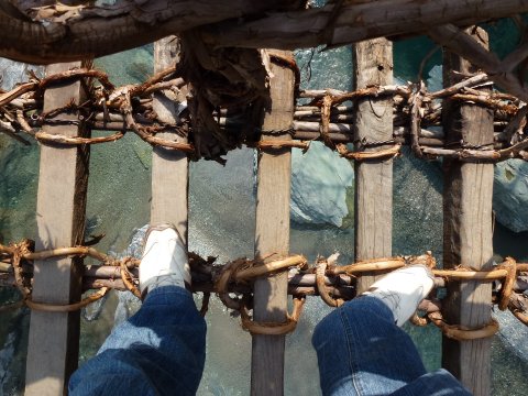 四国の旅(5亀)(5日目)