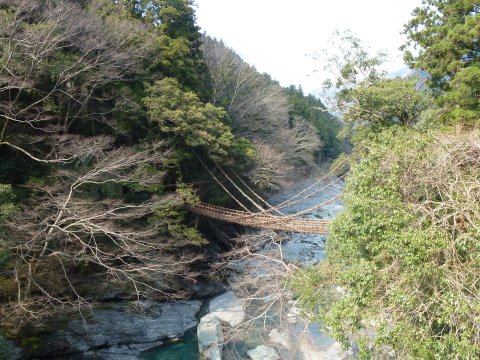 四国の旅(5亀)(5日目)
