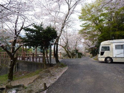 四国の旅(6亀)(6日目)