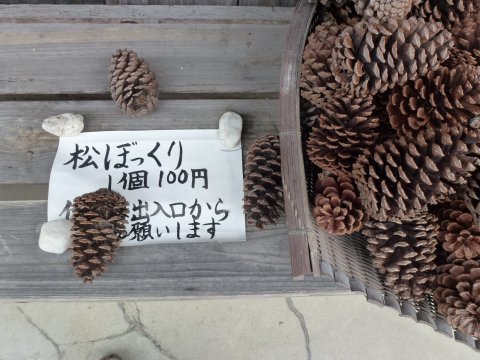 四国の旅(6亀)(6日目)
