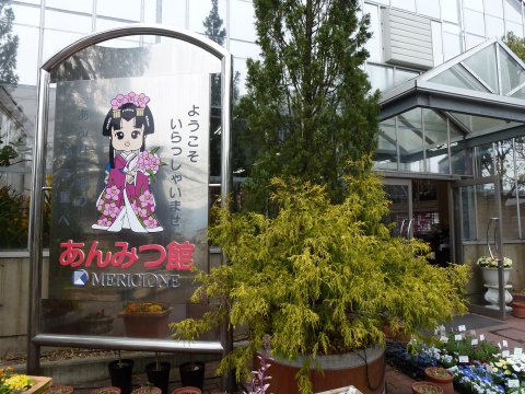 四国の旅(6亀)(6日目)