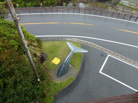 四国の旅(10亀)(10日目)