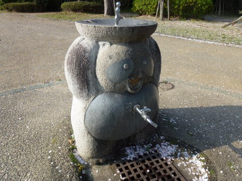四国の旅(8亀)(8日目)