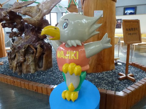 四国の旅(9亀)(9日目)