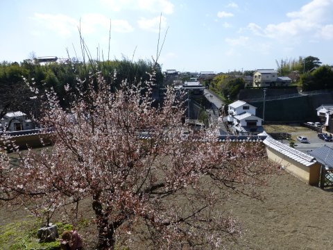 大分県杵築町ブラブラ