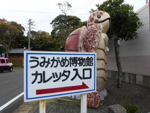 四国の旅(9亀)(9日目)