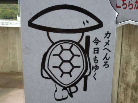 四国の旅(9亀)(9日目)