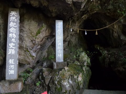 四国の旅(10亀)(10日目)