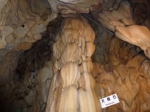 四国の旅(10亀)(10日目)