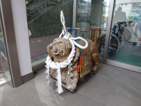 四国の旅(11亀)(11日目)