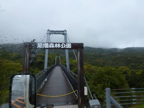 四国の旅(12亀)(12日目)