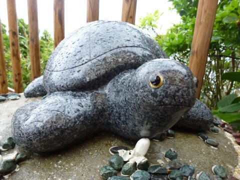 四国の旅(12亀)(12日目)